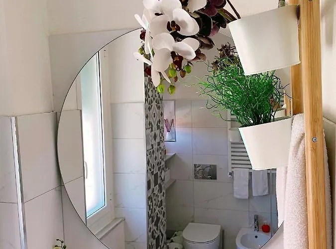 Casa Di Olli